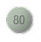80 mg OxyContin